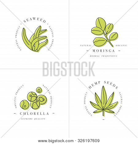 Vector Design Element And Icon In Linear Style - Chlorella, Hemp Seeds, Seaweed And Moringa - Health