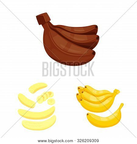 Isolated Object Of Tropical And Ripe Symbol. Set Of Tropical And Potassium Vector Icon For Stock.