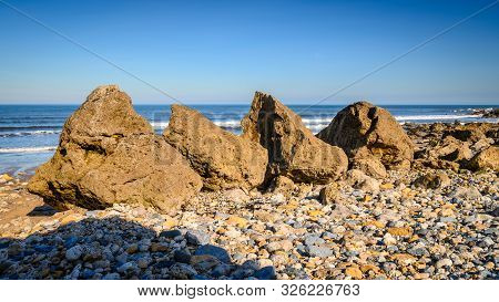 Four Rocks At Trow Point South Shields, Which Marks The Start Of A Stretch Of Magnesian Limestone Cl