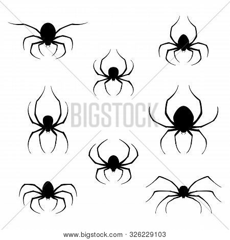 Black Spiders On White Background