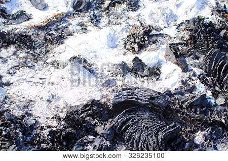 Background Ash, The Fire Extinct, Burnt Wood