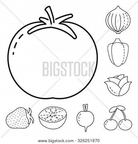 Vector Design Of Healthy And Ripe Symbol. Set Of Healthy And Harvest Stock Vector Illustration.
