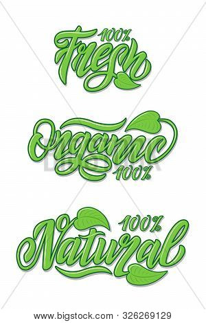 Hand Lettering Food Design. Natural, Organic, Fresh Food