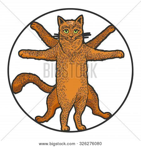 Vitruvian Cat Sketch Engraving Vector Illustration. Tee Shirt Apparel Print Design. Scratch Board St