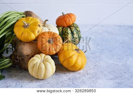 Autumn Harvest Of Vegetables. Pumpkins, Radish Copyspace