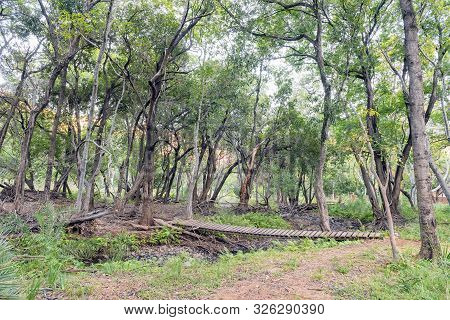 A Wooden Pedestrian Bridge On The Kudu Trail At The Swadini Holiday Resort