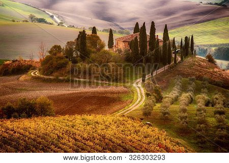 Beautiful Golden Sunrise In Tuscany, Italy With Vineyard. Natural Idillyc Seasonal Autumn Background