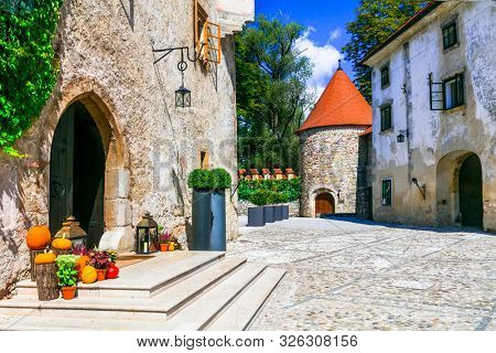  Medieval castles of Slovenia - Grad Otocec in Krka river