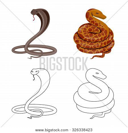 Vector Design Of Mammal And Danger Icon. Set Of Mammal And Medicine Stock Vector Illustration.