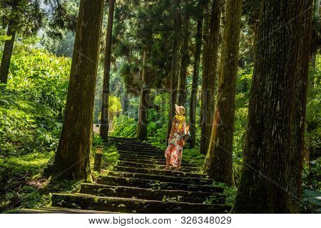 traveling Asian woman hiking in the forest at Xitou, Nantou, Taiwan