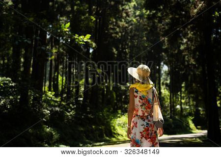 traveling Asian woman hiking in the forest at Xitou, Nantou, Taiwan
