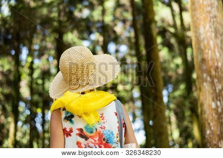 traveling Asian woman hiking in the forest at Xitou, Nantou, Taiwan