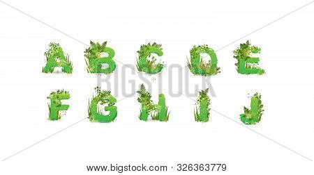 Green Leaves Font. Vector Illustration. Stylish Eco Alphabet From Colorful Tropical Leaves, Bushes, 
