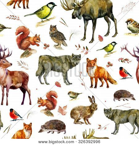 Watercolor Illustration, Pattern. Forest Animals On A White Background. Elk, Wolf, Fox, Hare, Squirr