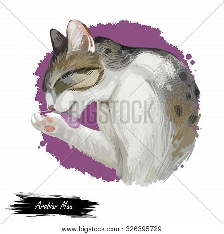 Arabian Or Egyptian Mau Cat Isolated On White Background. Digital Art Illustration Of Hand Drawn Kit