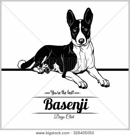 Basenji Dog - Vector Illustration For T-shirt, Logo And Template Badges