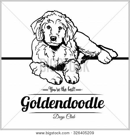 Goldendoodle Dog - Vector Illustration For T-shirt, Logo And Template Badges