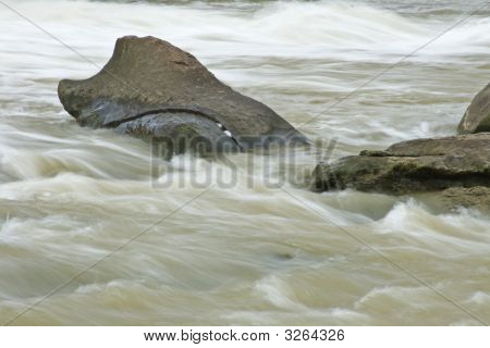 Büyük rakun Creek