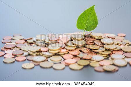 Coins Stacked On Each Other, Green Leaf Growing. Close Up Picture, Money Concept