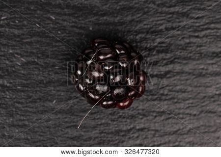 One Whole Fresh Black Blackberry Flatlay On Grey Stone