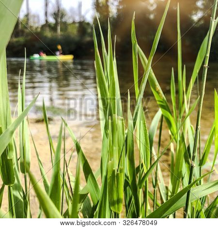 canoeing on a Loue river in eastern France, Europe