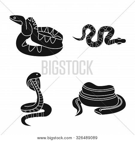 Vector Design Of Snake And Creepy Symbol. Collection Of Snake And Poison Stock Symbol For Web.