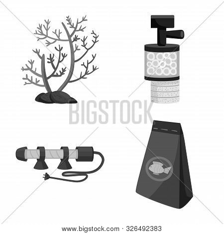 Vector Illustration Of Equipment And Care Symbol. Collection Of Equipment And Hobby Vector Icon For 