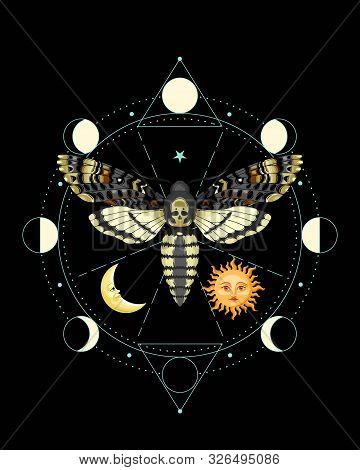 Vector Illustration Of Death Head Hawk Moth