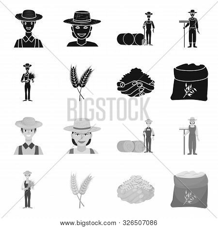 Isolated Object Of Farm And Arable Logo. Collection Of Farm And Harvest Vector Icon For Stock.