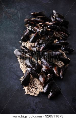 Fresh uncooked raw big mussels on dark background