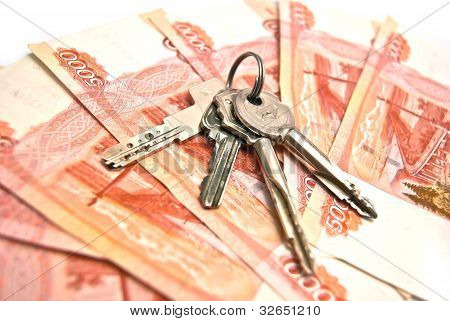 키와 지폐 배경