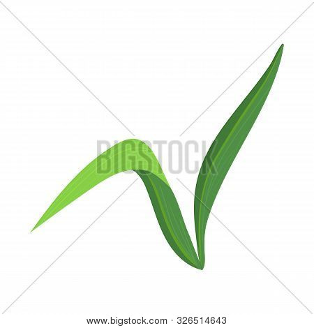 Vector Design Of Sprout And Cane Sign. Graphic Of Sprout And Sugar Stock Symbol For Web.