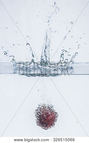 Ripe Rambutan Fruit In In Water Isolated On A White Background