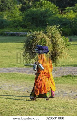 Sariska, India - November 2, 2014: Indian Women Carrying Straw To The Farm To Feed The Animals.