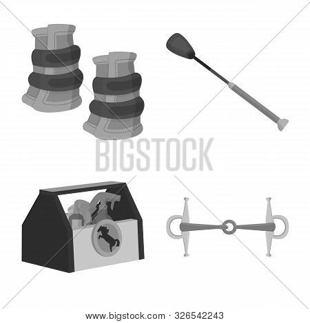 Vector Design Of Race And Horse Logo. Set Of Race And Racing Vector Icon For Stock.