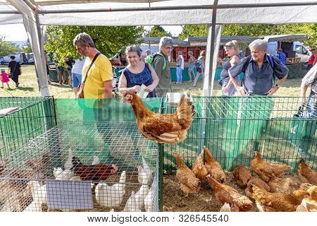 Idstein, Germany - July 23, 2019: The Original Alteburger Market Was A Market For Selling Farm Anima