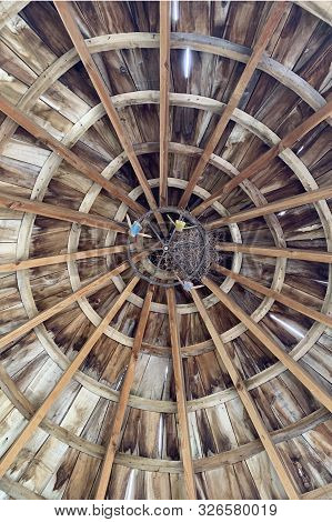 Wooden Arbor, Detail Of A Roof Of A Roof, Testure, Ethnic Background