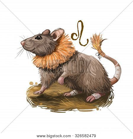 Leo Creative Digital Illustration Of Astrological Sign. Rat Or Mouse Symboll Of 2020 Year Signs In Z