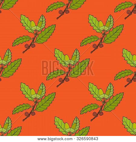 Aleppo Oak Branch Seamless Pattern. Hand Drawn Botanical Vector Illustration