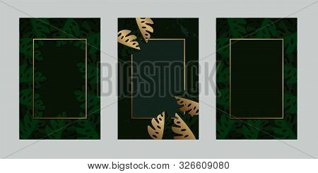 Greenery  Invitation Card Leaf Tropical Gold With Frame For Text Message Vector Design Illustration
