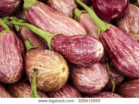 A Lot Of Fresh Eggplant Available In The Market