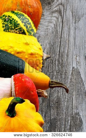 Frame Of Various Miniature Colorful Squash, Pumpkins And Marrow Closeup On Wooden Background