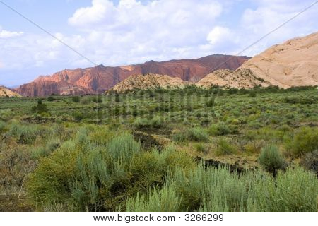 Snow Canyon - Utah