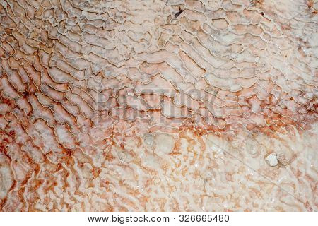 Undulatory Texture Of White Calcite Stalactites Covering A Cascade Of Terraced Baths In Pamukkale, T