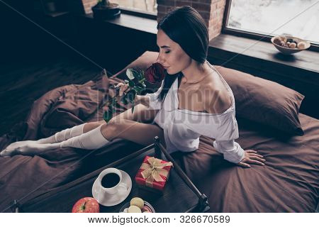 Portrait Of Her She Nice Attractive Charming Lovely Pretty Sweet Sensual Dreamy Girl Sitting On Bed 