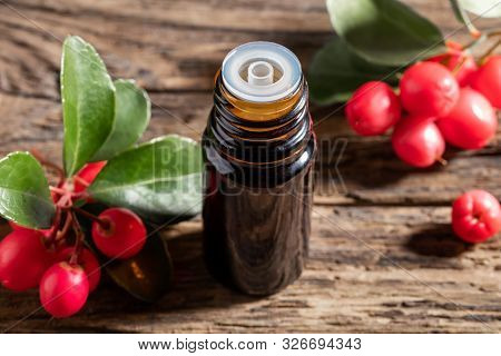 A Dark Bottle Of Essential Oil With Wintergreen Berries And Leaves