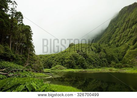 Poco Da Ribeira Do Ferreiro, Flores, Azores, Portugal