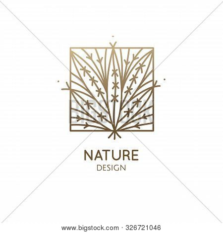 Tropical Plant Logo. Outline Emblem Of Exotic Flower In Square Shape In Linear Style. Vector Abstrac