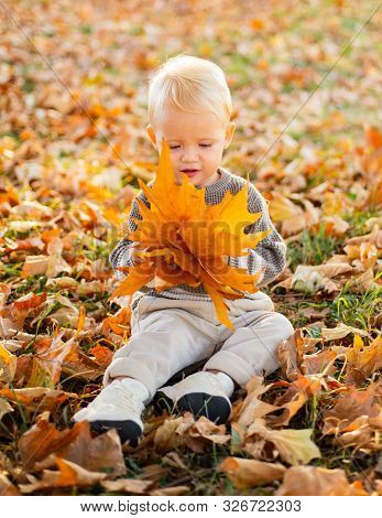 Adorable Little Baby Girl Sitting On The Ground In Park And Playing With Autumn Leaves On A Bright F