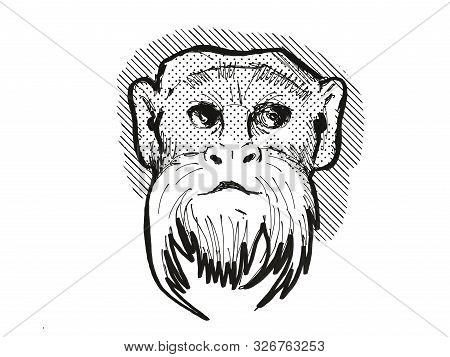Retro Cartoon Style Drawing Head Of An Emperor Tamarin , A Monkey Species Viewed From Front On Isola